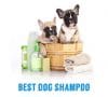Best Dog Shampoo in the Philippines 2022