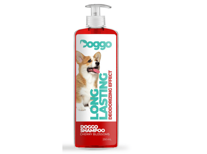 top 10 dog shampoo philippines, Dog Shampoo Philippines, best dog shampoo philippines, vet recommended dog shampoo philippines, saint roche dog shampoo, shampoo for dog ticks philippines, dog shampoo price philippines, human shampoo for dogs, dog shampoo for lice, dog shampoo review,