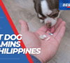 Dog Vitamins Philippines