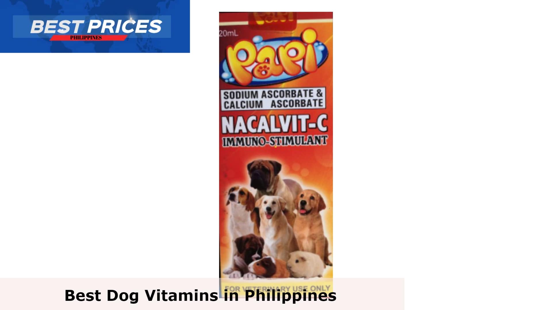 Dog Vitamins Philippines 2024 that are Essential for your Pet’s Diet